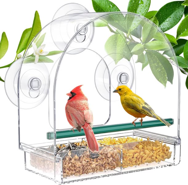 Best deals for everyday items at special prices daily